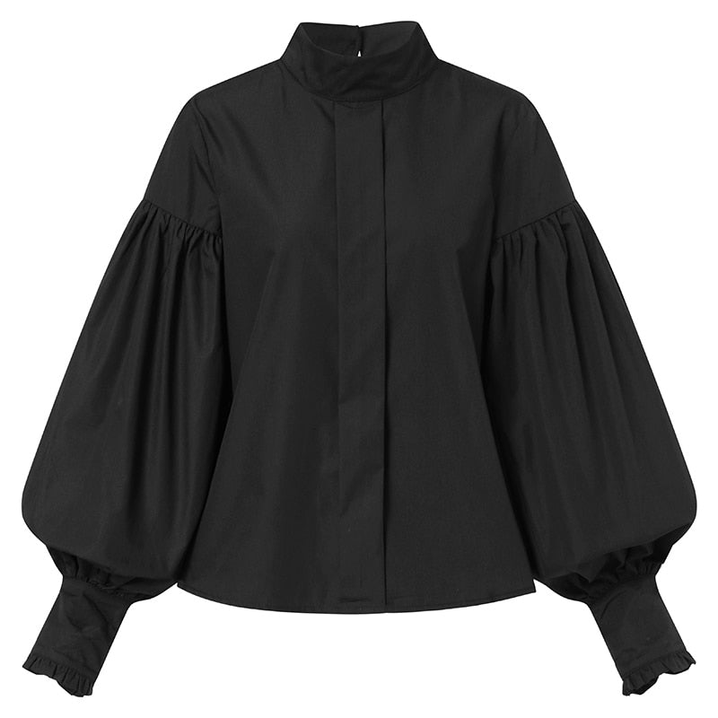 Lantern Sleeve Elegant Party Blouse